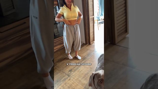Анаконду подбросил 😂