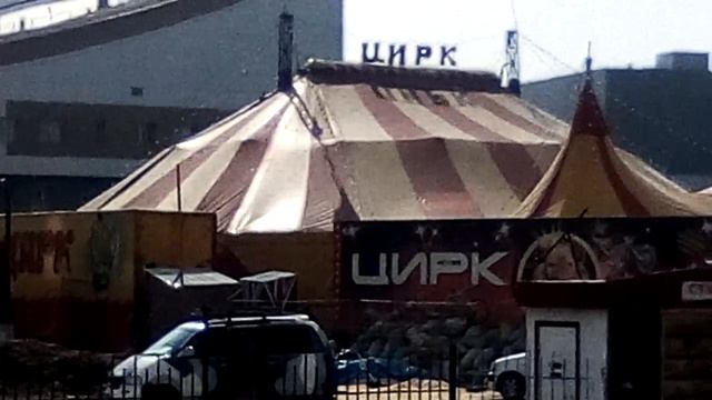 Цирк Московский просит помощи в гАнгарске смотреть онлайн