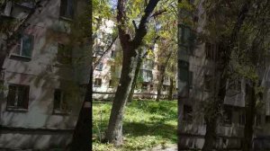 20250429_131727