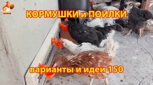Кормушки и поилки для кур своими руками (150) 🪚✂️ Пошаговая инструкция как сделать 🐔 🐓❣️