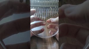 Майская ритмика