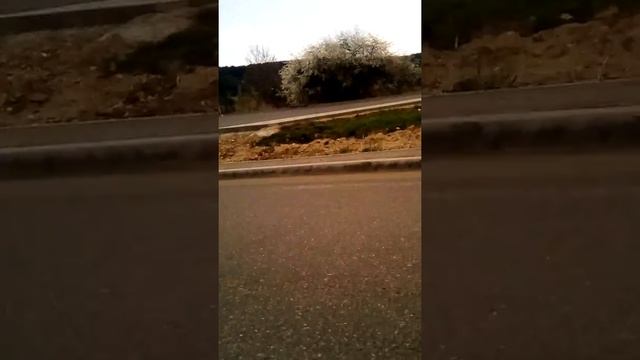 Прогулка по Кисловодскому национальному парку смотреть онлайн