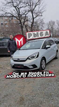 РЫБА! Он же Honda Fit нового поколения