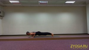 Приветствие Солнцу с Чатурангой (вариация 103) / Surya Namaskara with Chaturanga (variation 103)