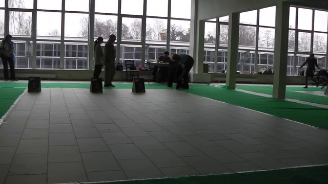 IMGA0462 МОНО кобели все классы, сравнение на ЛК смотреть онлайн