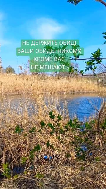 1000207979.mp4 #видео