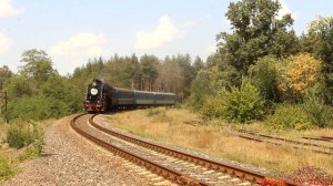 Гайворонская узкоколейка 20.08.2023. Фестиваль ретро паровозов