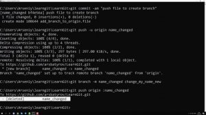 12-branches_commands