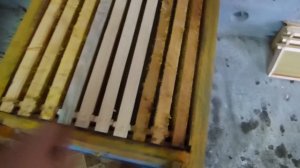 Когда и кому ставить магазины с вощиной , чтобы не потерять в медосборе.