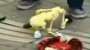 Ашим - танцующий скелет прикол