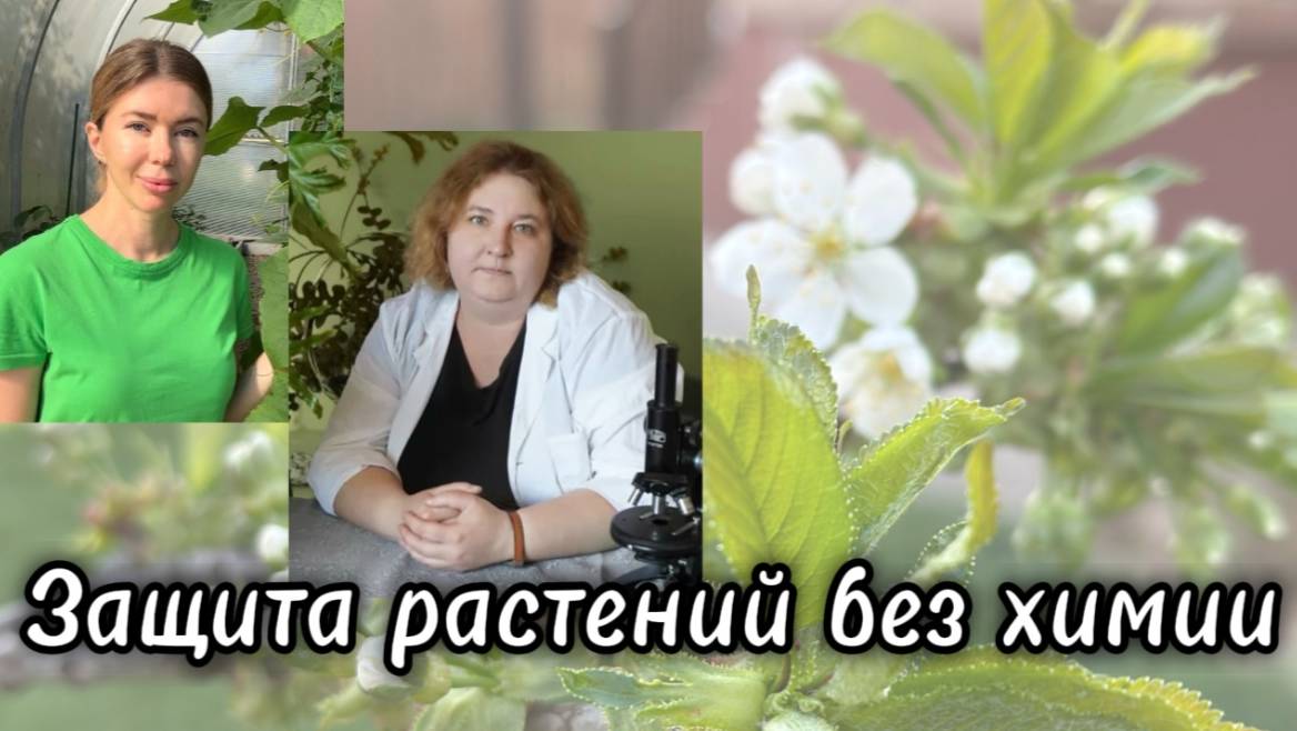 МНЕНИЕ ЭКСПЕРТА: защита растений от болезней и вредителей без помощи химических препаратов