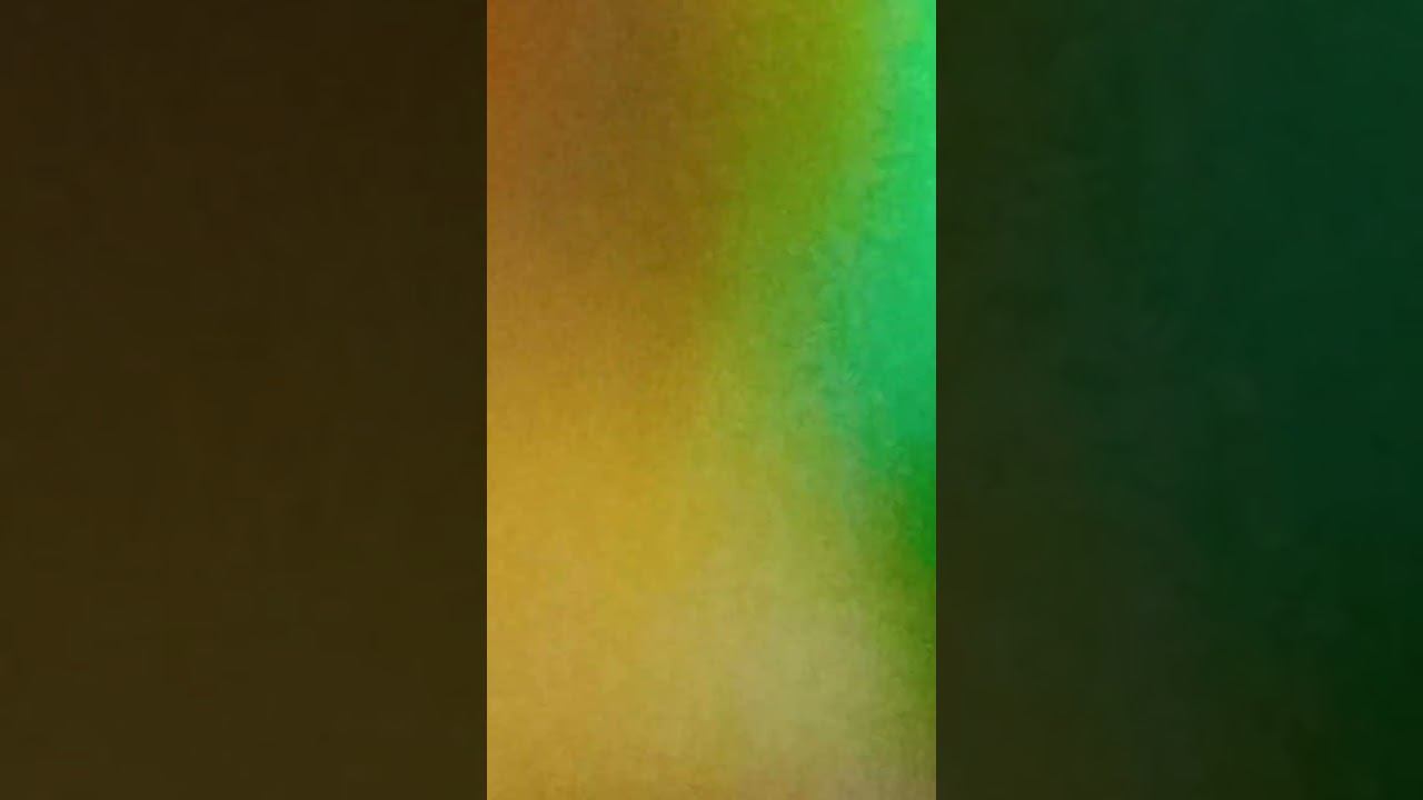 лапа #лапки смотреть онлайн