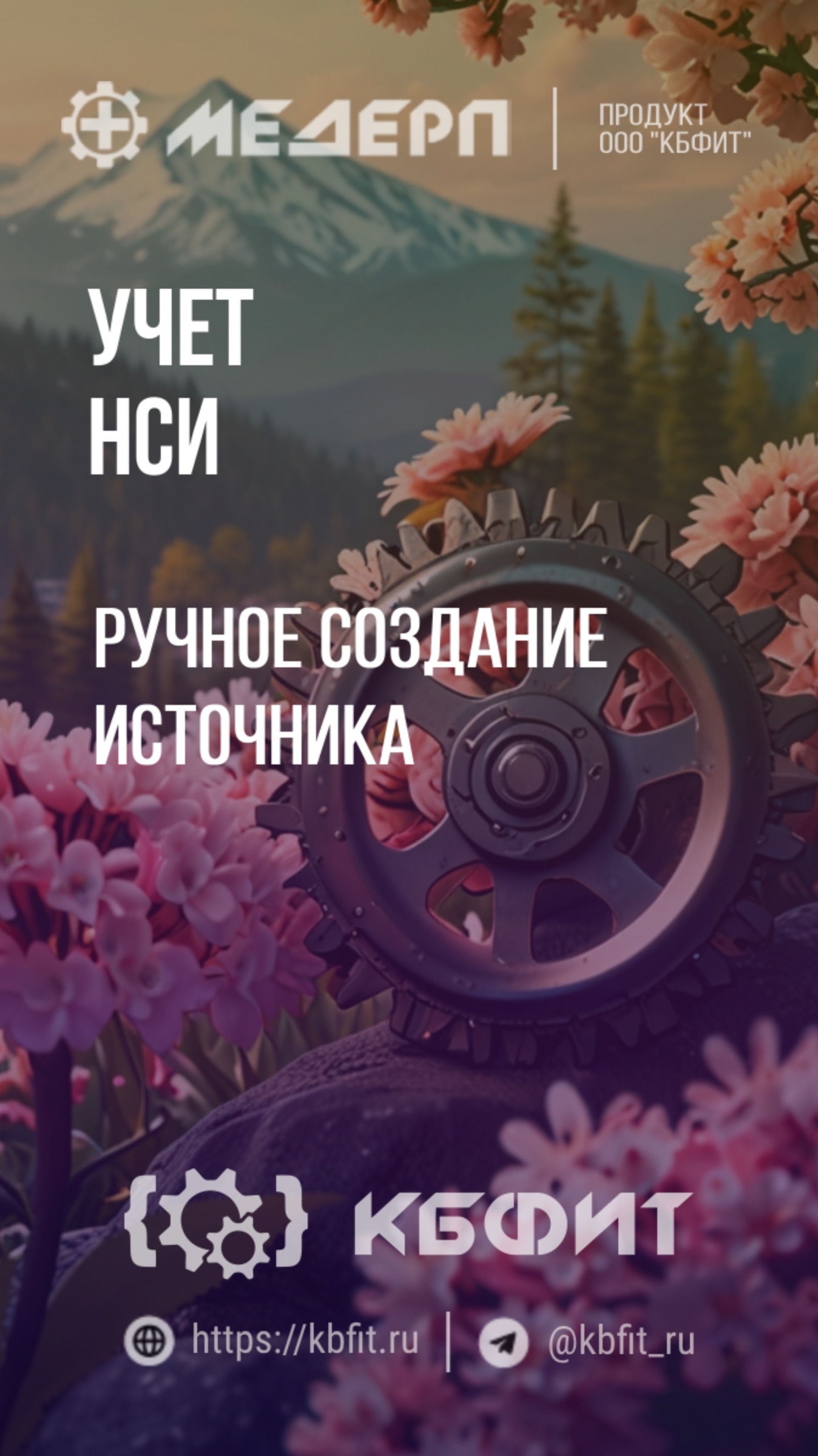 КБФИТ: МЕДЕРП. Учет НСИ: Источники финансирования ручное создание источника