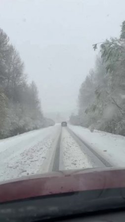 Первомайский снегопад накрыл сразу несколько областей — Московскую, Тверскую и Ярославскую.