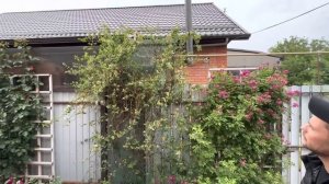 VID_20250501_213003_721.mp4