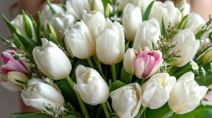 С Добрым Утром! 🎶 Музыкальное Пожелание для Удачного Дня!