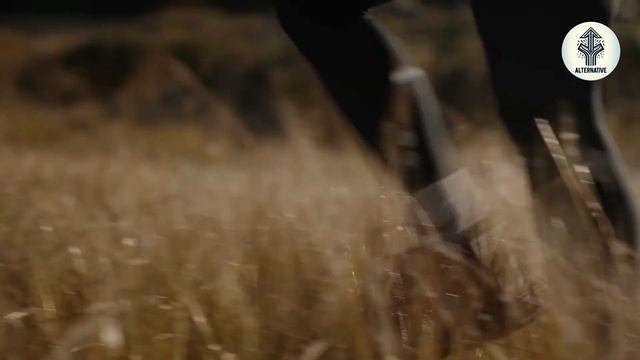 Лучшая гибридная камера 2025 года: 10 лучших вариантов!