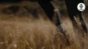 Лучшая гибридная камера 2025 года: 10 лучших вариантов!