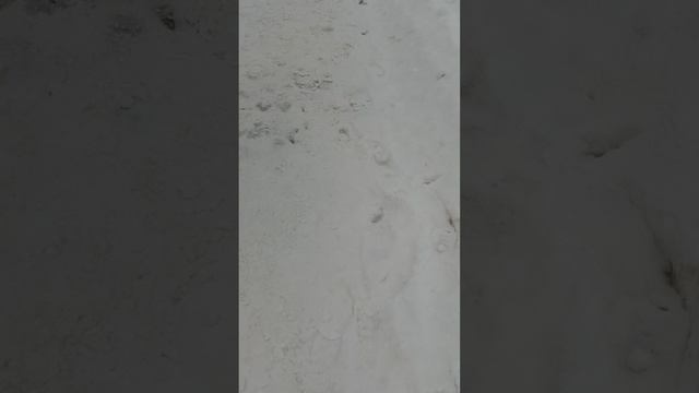 10 марта 2025 г., 10:03:30
ул. Газеты Звезда
VID_20250310_100039311