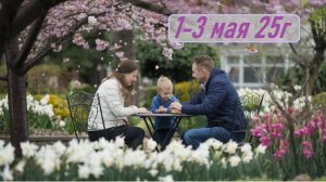 Гороскоп 1-3 мая 25г. Карта дня