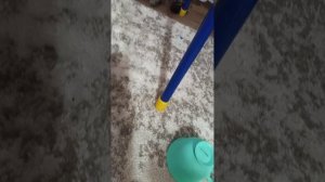 1000007926.mp4