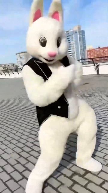 Танцующий зайка смотреть онлайн