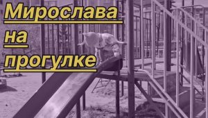 Мирослава на Прогулке
