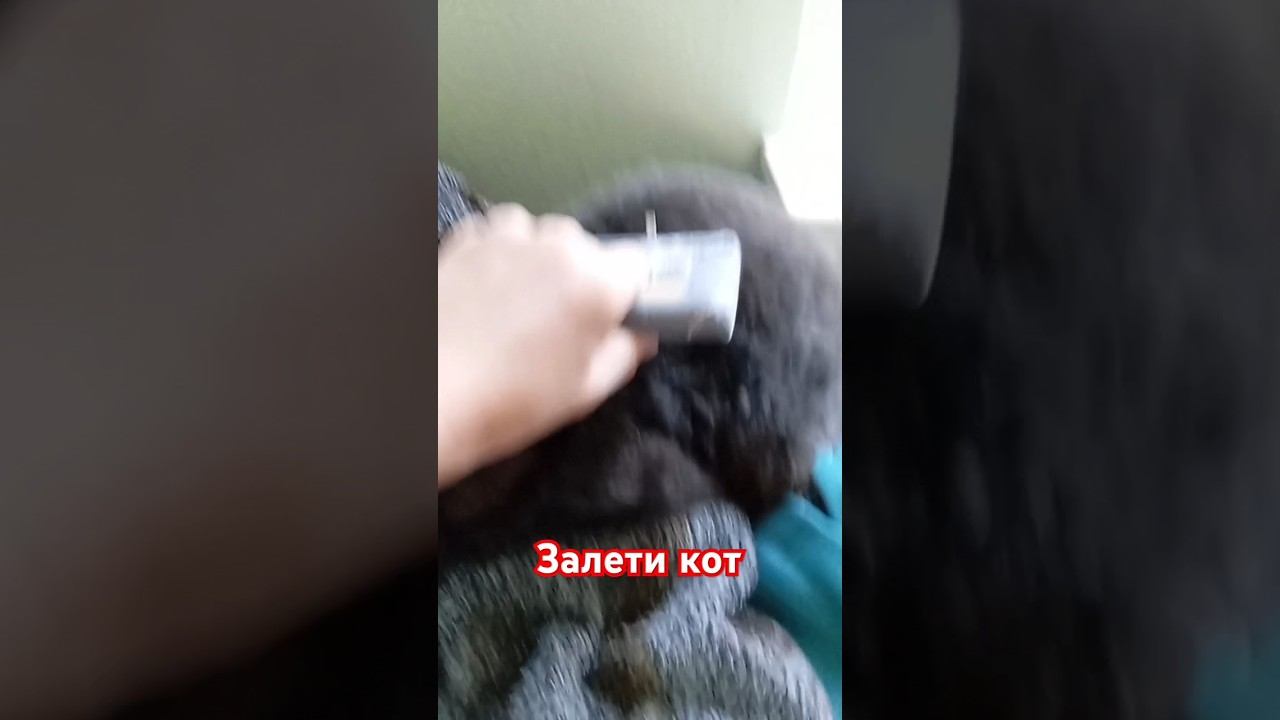 #актив залети видос смотреть онлайн