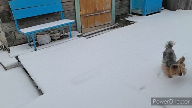 Жизнь аборигенки. Выходные дни. 25.26.27.04.25