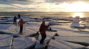 Лыжный поход на Белое море и в Колвицкие тундры. март 2025