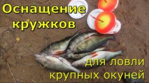 Оснащение кружков для ловли крупных окуней
