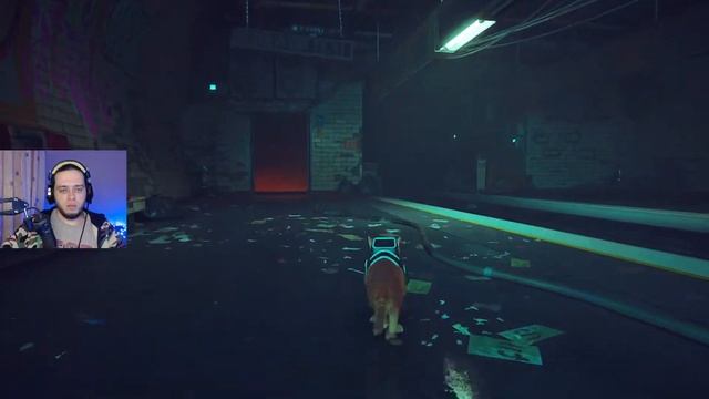 Пушистое прохождение игры Stray Концовка  (For Robert) 13
