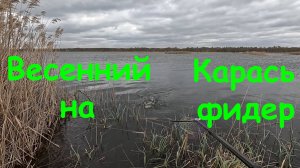 Весенний Карась и Норка на Торфянике!