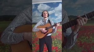 Freedom (из фильма «Джанго освобождённый»)