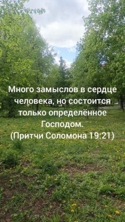 мудрые мысли 🙏