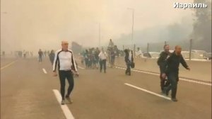 Израиль_в_Огне!_Самый_сильный_пожар_в_истории_Израиля_жители_бегут от огня