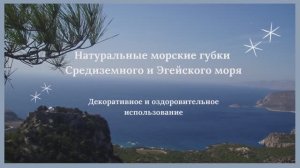 Натуральные губки Средиземного и Эгейского моря