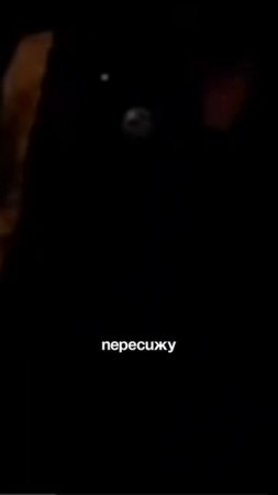 А КАК ВЫ РАЗГОВАРИВАЛИ В ДЕТСТВЕ?