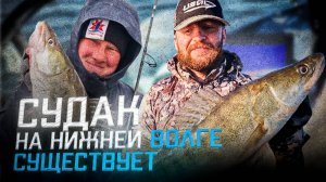 СУДАК на Нижней Волге. Столько рыбы я давно не видел!
