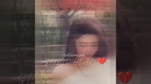 cutieraisin - STUPID HEART 💔