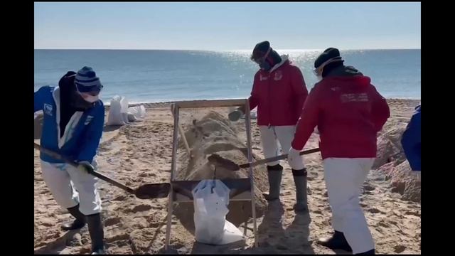 Мир труд май - в честь волонтеров убирающих мазут написали песню, а они спасают курорты России