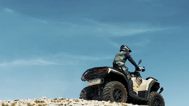 Квадроцикл Sharmax 1100