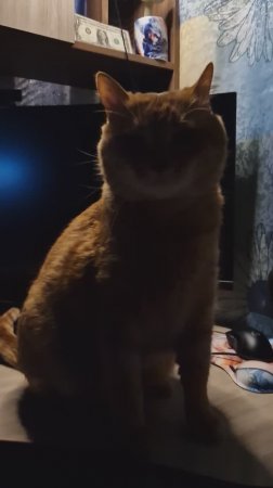 ТЕМНАЯ НОЧь