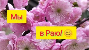 Переезд на ЮГ/Что предлагают вместо МОРЯ в Анапе/Где самая лучшая СТОМАТОЛОГИЯ в Ейске/Море!!!