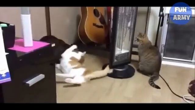 Самый лучший приколы смотреть онлайн