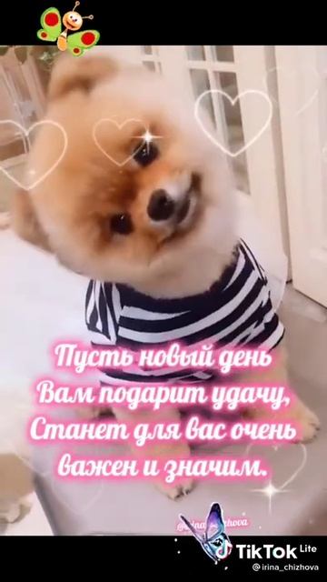 Всем добра и счастья! смотреть онлайн