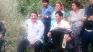 Пуни сиванки