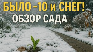 Что делать после апрельских морозов? Реакция сада