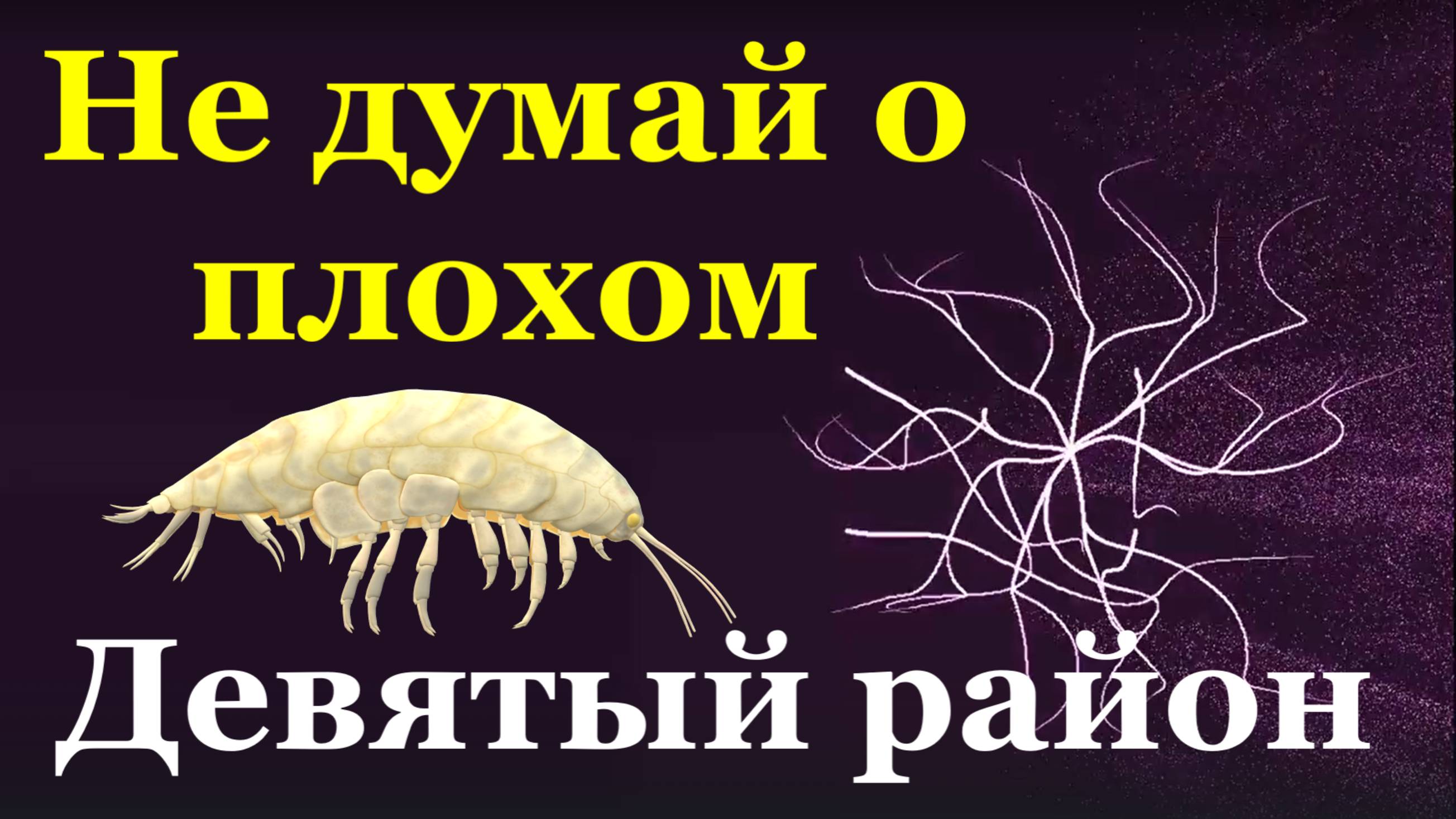 Песня Не думай о плохом Песни Девятый район 9 под гитару