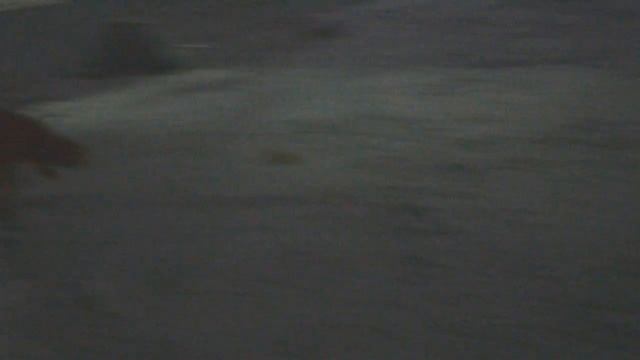 Аэропорт, Оха, лиса 27 11 2015 смотреть онлайн